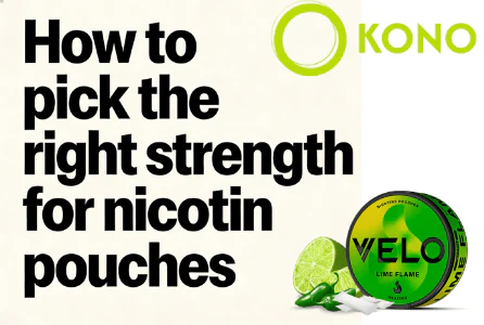 How Nicotine Pouch Strength Affects Focus and Productivity